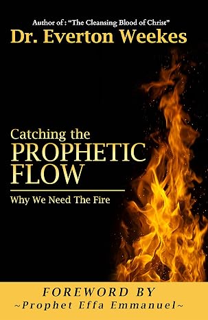 Book | Catching the Prophetic Flow